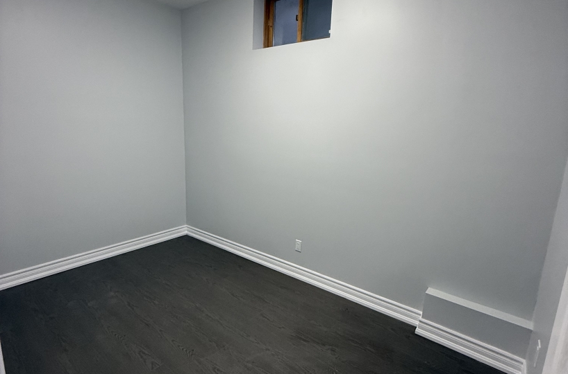 Complete Basement Renovation — From Framing to Final Finish