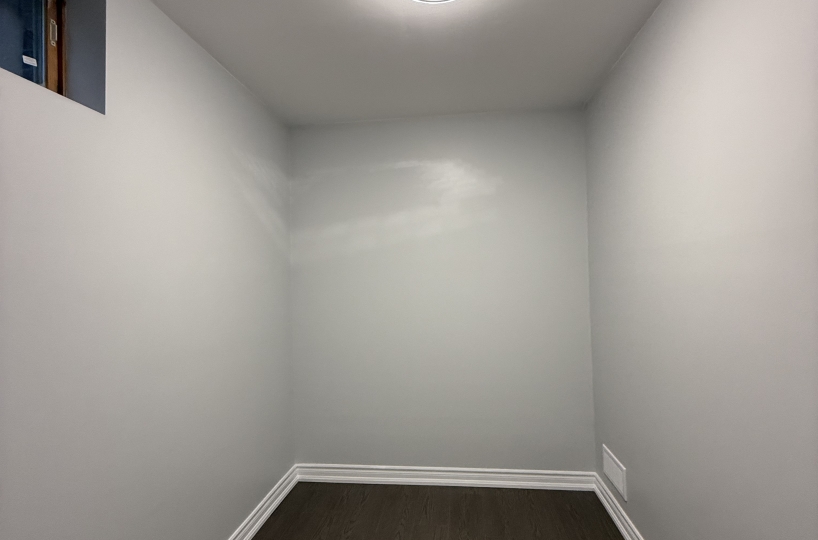 Complete Basement Renovation — From Framing to Final Finish